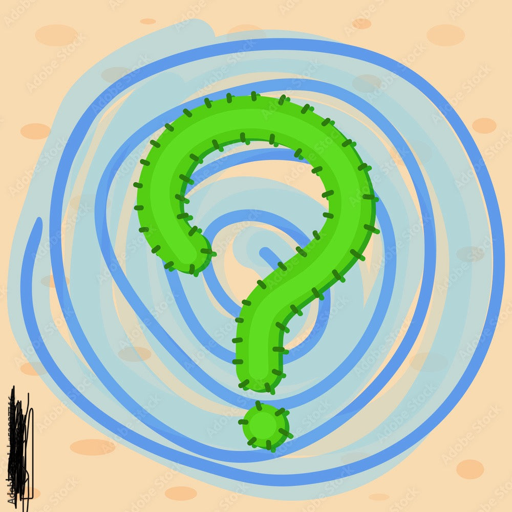 A Mystery box full of cactus, 100$ edition