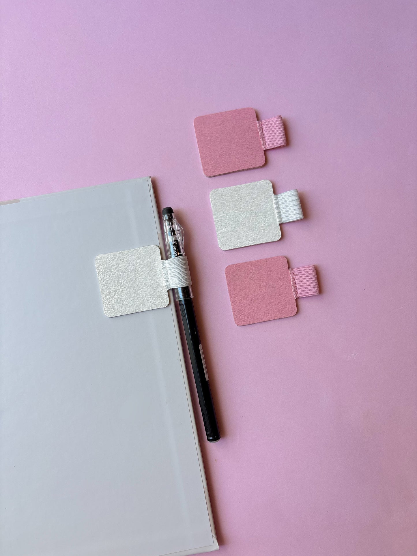 Ariocarpus trigonus flowering size 177